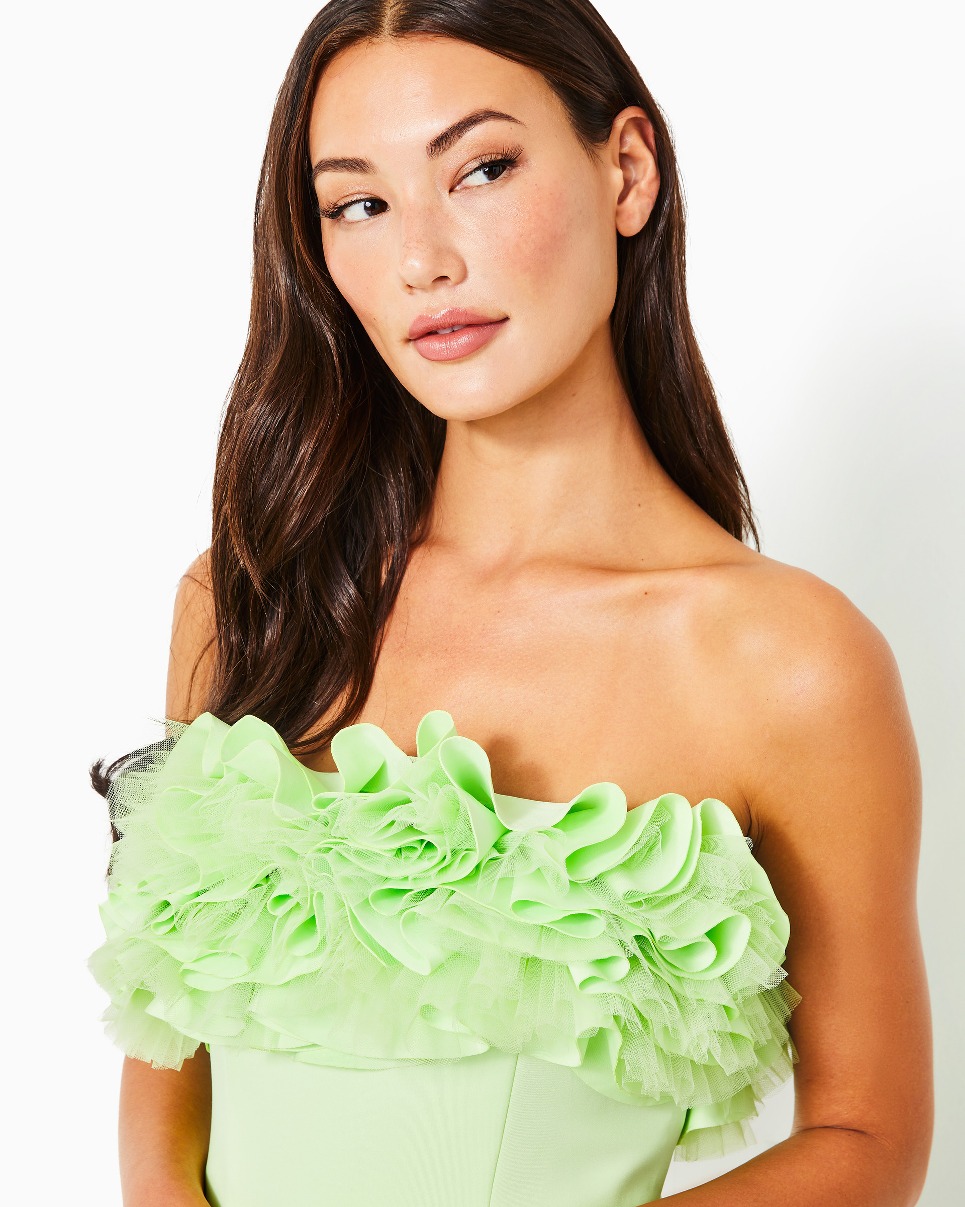 16957-lilly-pulitzer-x-badgley-mischka-fritzi-ruffle-dress-1.jpg