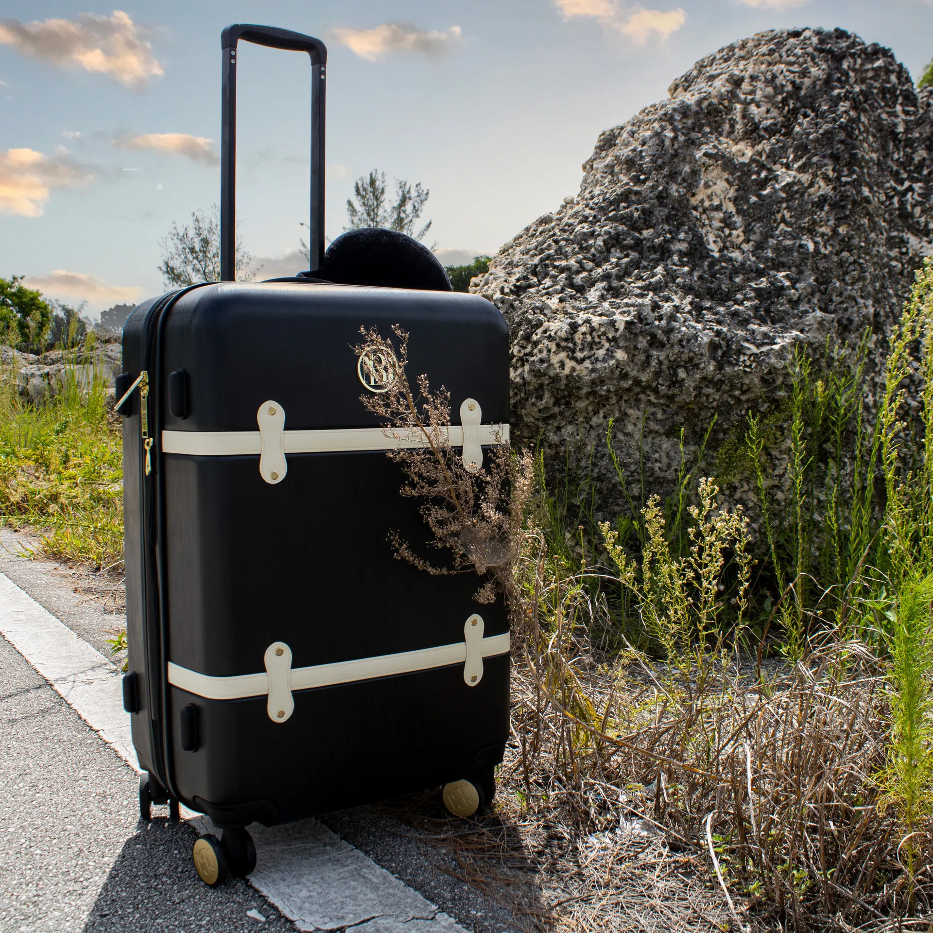 19091-grace-luggage-set-1.jpg